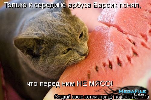 ������� ������� cs3 photoshop cs3